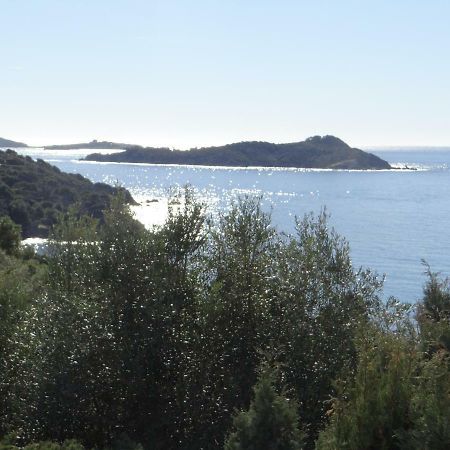 Appartement T2 50m² vue mer Presqu'il de Giens. RC Hyères Eksteriør billede